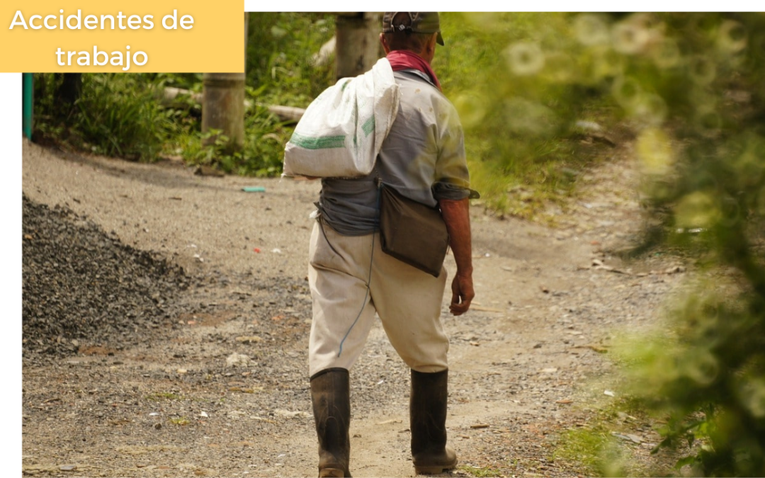 Sentencia: ¿Qué medidas de seguridad faltaron en el accidente de incendio en la cocina de una finca cafetera? Trabajo de cuidado y género. La solidaridad, ayuda y socorro también son propios de las relaciones de trabajo.